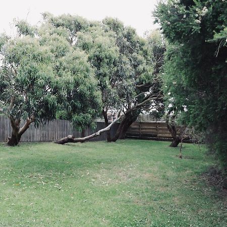 Red Ceder Cottage - Great Ocean Road - פורט קאמפבל מראה חיצוני תמונה